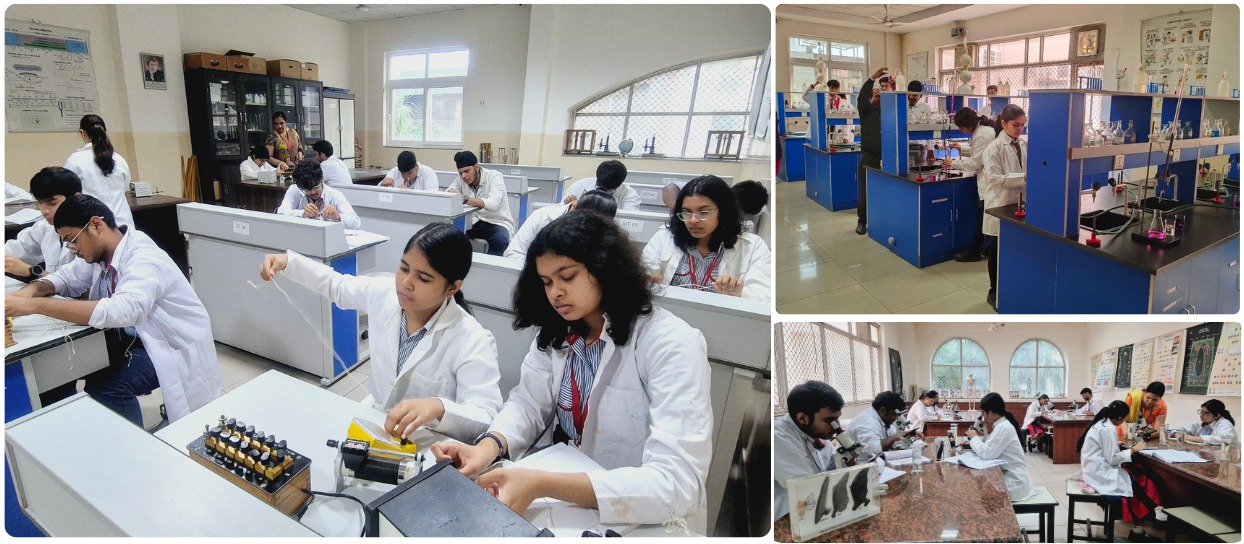 New School in Indirapuram Ghaziabad